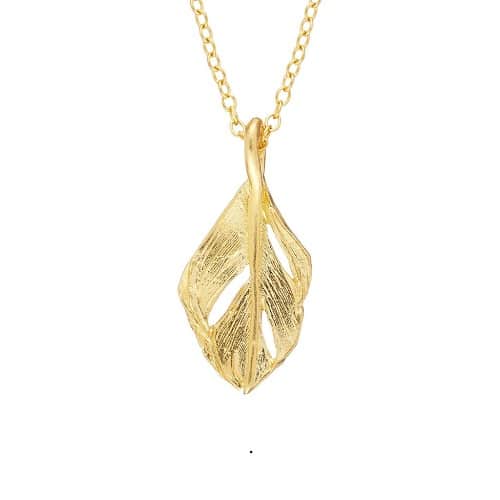 CSNNSWMG_Chupi CSNNSWMG_Chupi